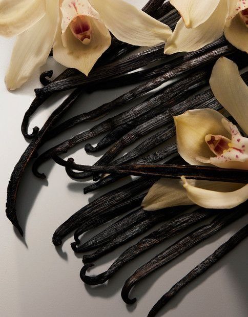 Grade A vanilla beans arranged with cream orchid blossoms